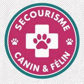Secourisme canin et félin